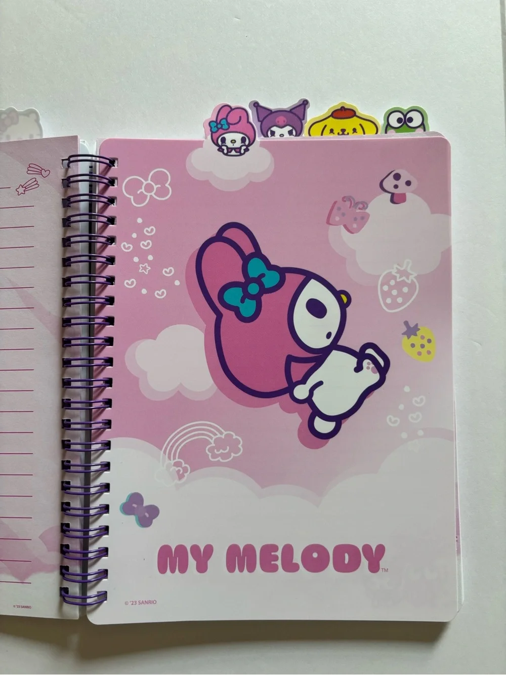 Hello Kitty Pastel Blue & Pink Character Spiral Notebook